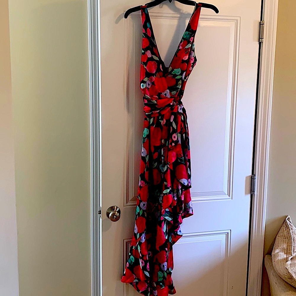 NWT HUTCH FLORAL WRAP DRESS, ABSOLUTELY GORGEOUS. THE MATERIAL IS SILK LIKE - Picture 2 of 8